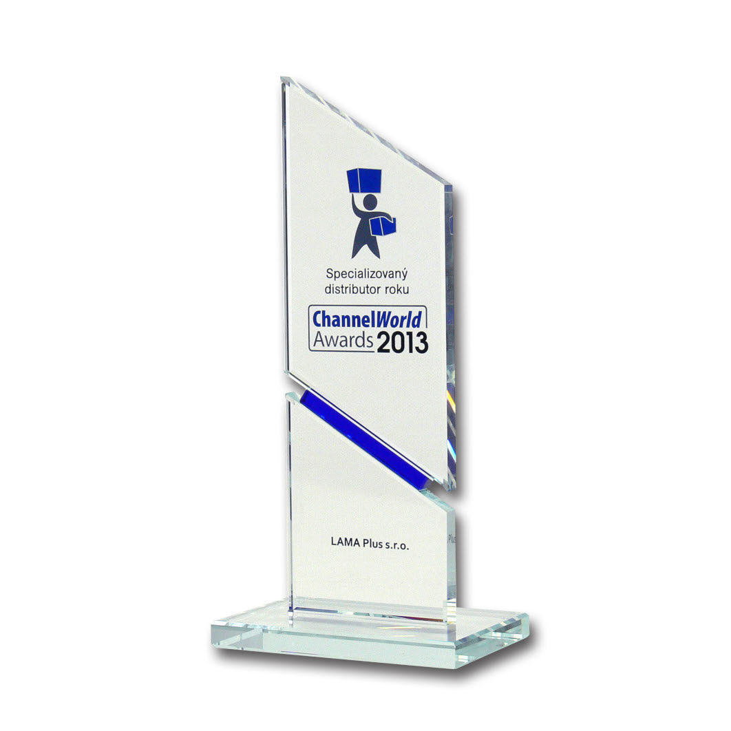 ChannelWorld Awards 2013 trophy